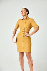 Elegant Clean Finished Work Wear Dress