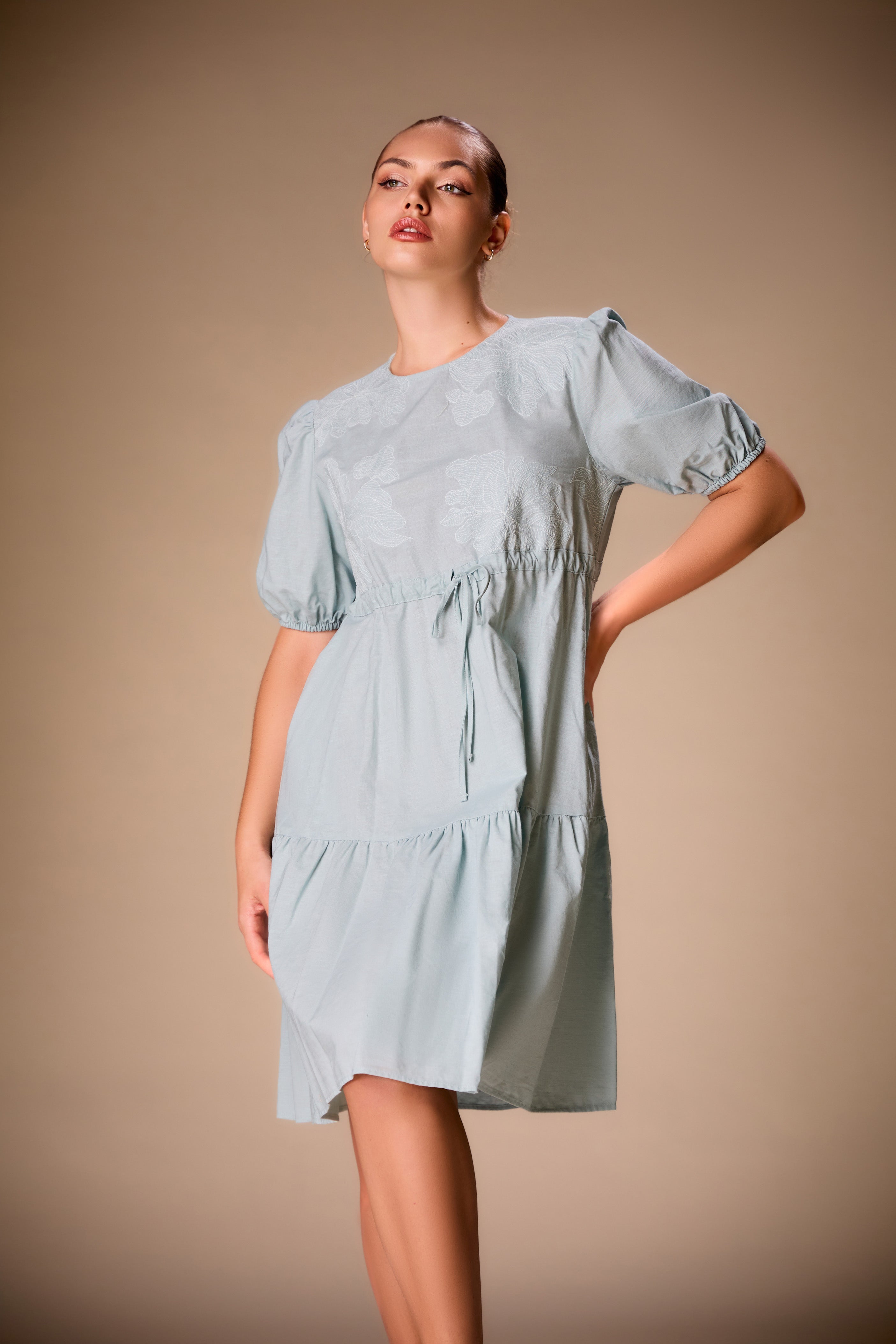 Graceful Weaves Linen Dress