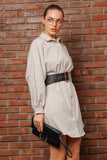 Classic Shirt Collar WW Dress